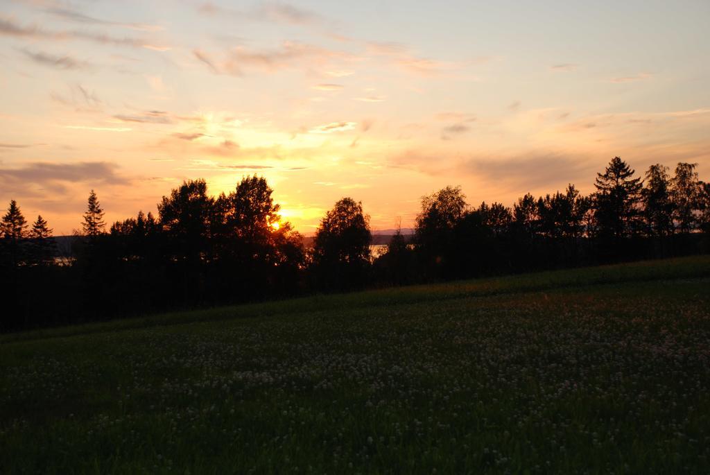 Moose Garden Villa Orrviken ภายนอก รูปภาพ