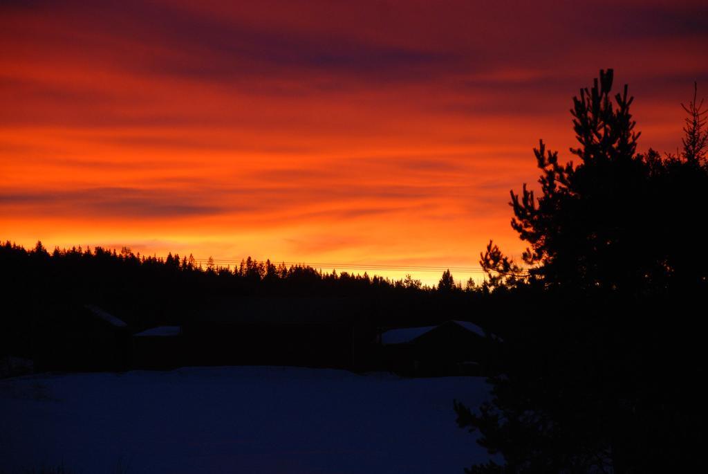 Moose Garden Villa Orrviken ภายนอก รูปภาพ