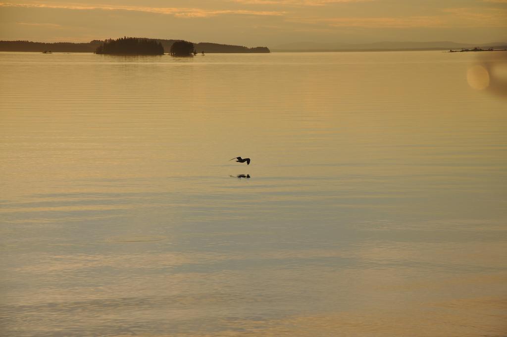 Moose Garden Villa Orrviken ห้อง รูปภาพ