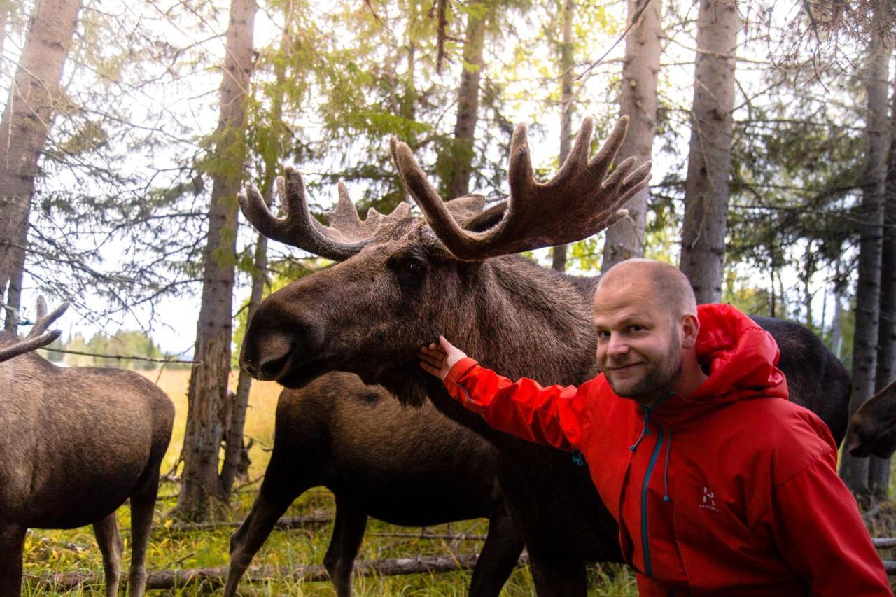 Moose Garden Villa Orrviken ภายนอก รูปภาพ